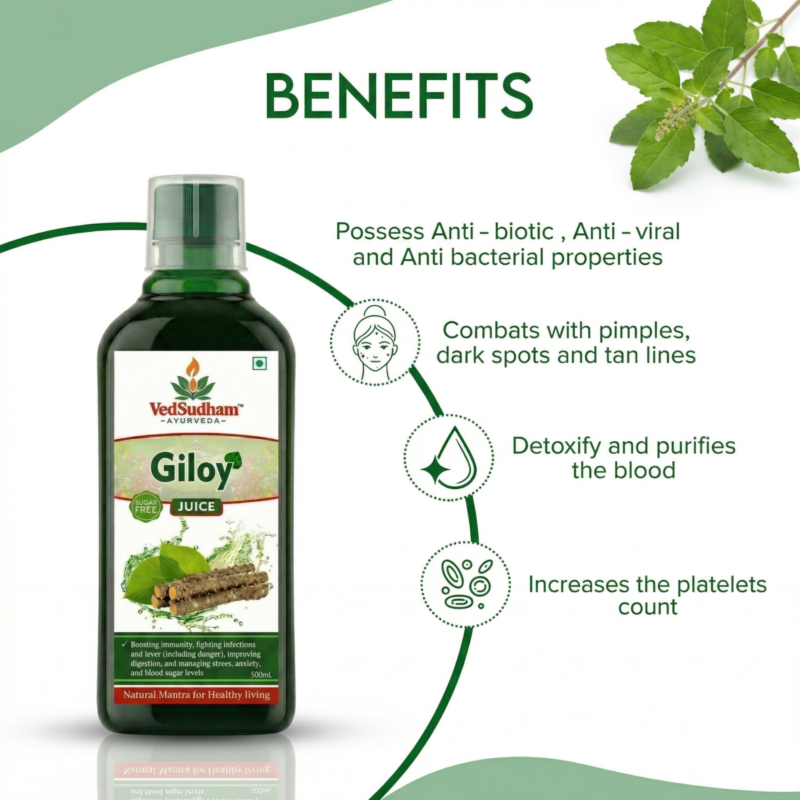 Alternative view of VedSudham Ayurveda Giloy Juice | 500 ml