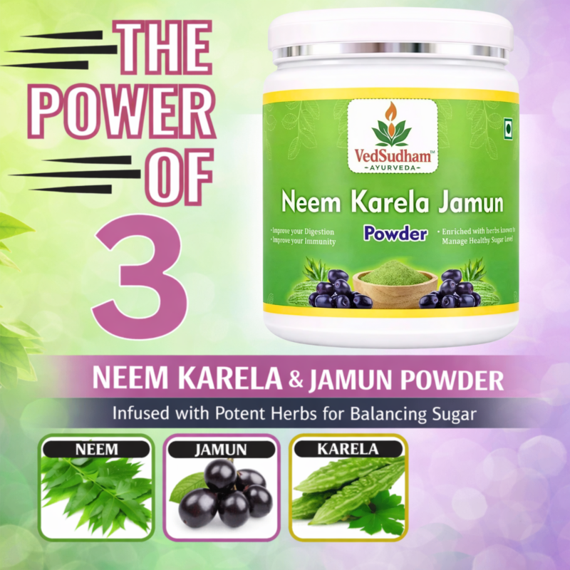 VedSudham Neem Karela Jamun Powder with 13 Potent Herbs - 300 GM