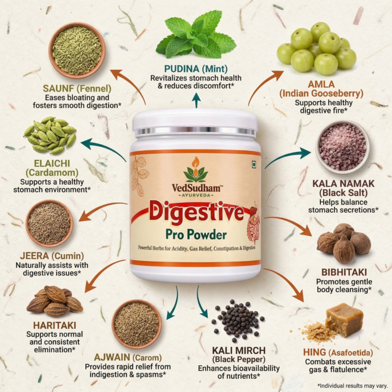 Alternative view of VedSudham Digestive Pro Powder for Gas, Acidity & Constipation - 300g