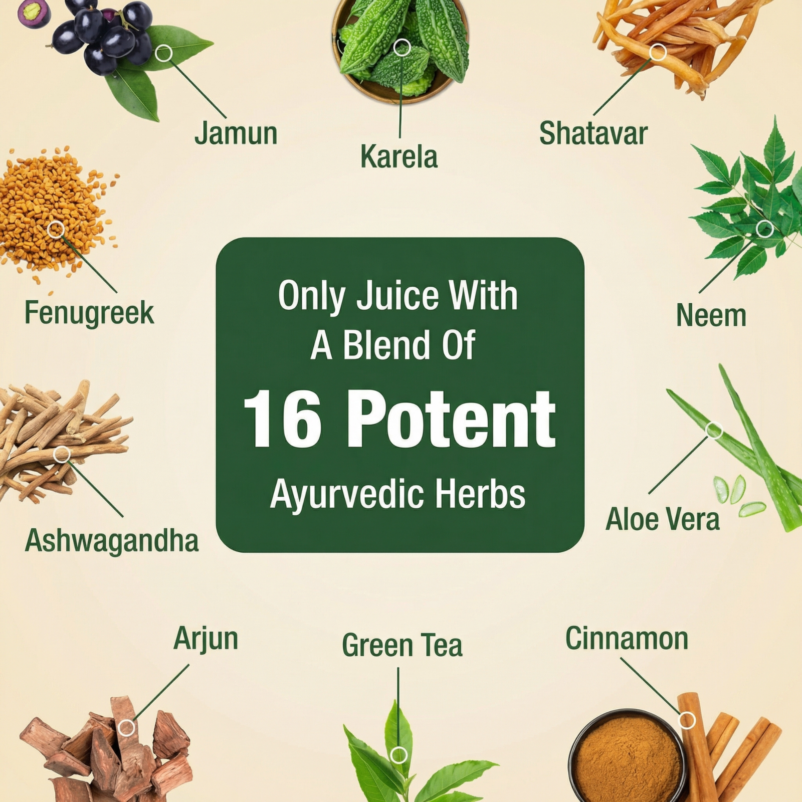 VedSudham Ayurveda Diab Care Juice | 500 ml - Image 2
