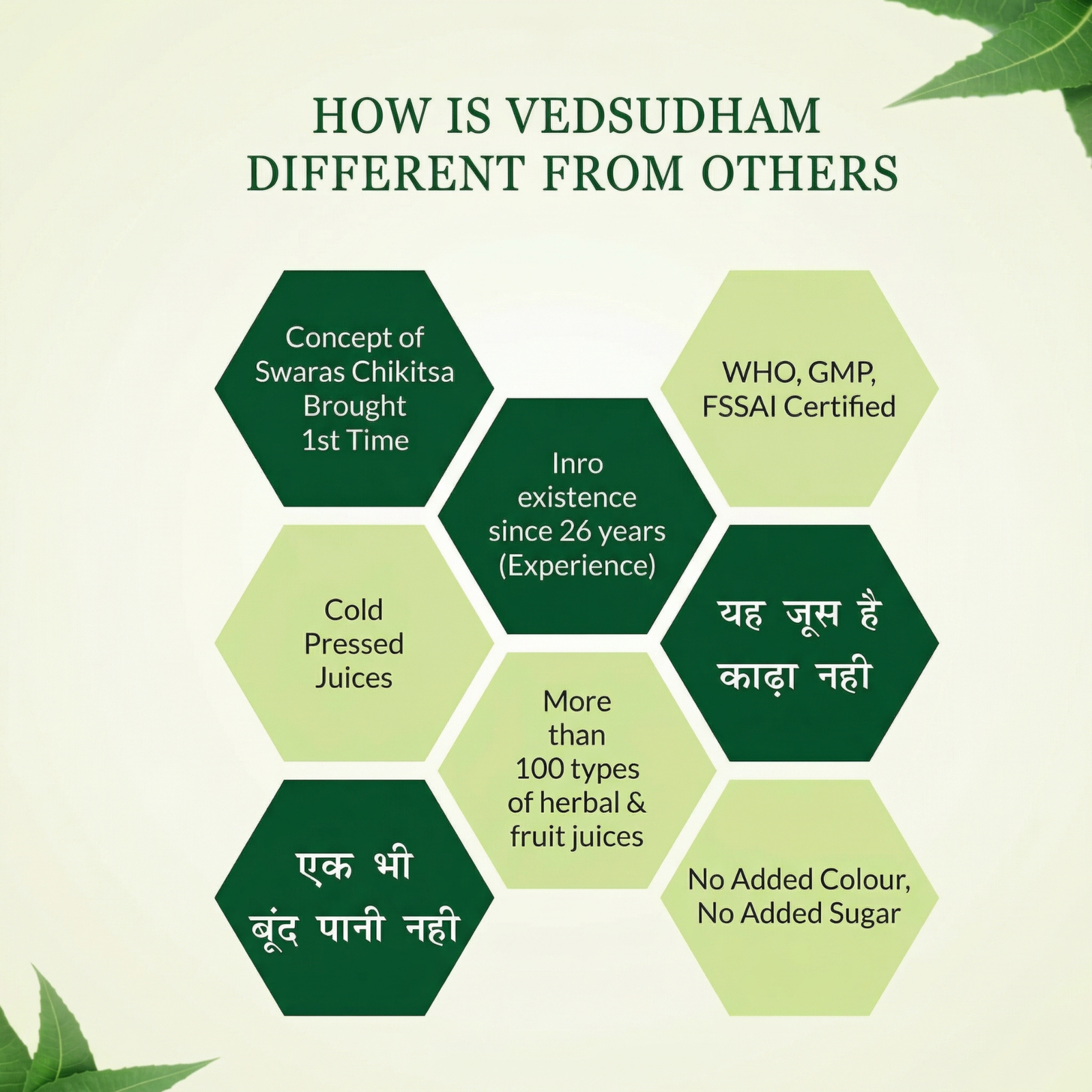 VedSudham Ayurveda Giloy Juice | 500 ml - Image 3