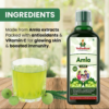 VedSudham Amla Juice-Energise With Vitamin C |Rejuvenator, Immunity Builder, Antioxidant | No Added Sugar |500 ML - Image 2