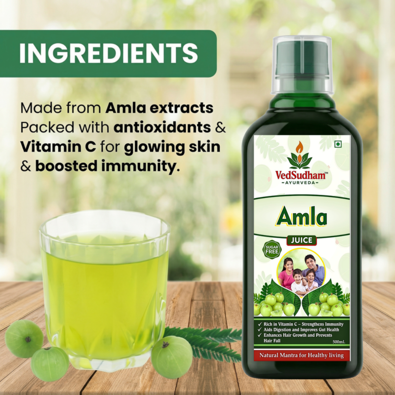 Alternative view of VedSudham Amla Juice-Energise With Vitamin C |Rejuvenator, Immunity Builder, Antioxidant | No Added Sugar |500 ML