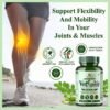 VedSudham Joint Support Supplement with Moringa and Boswellia - 60 Vegetarian Capsules - Image 3