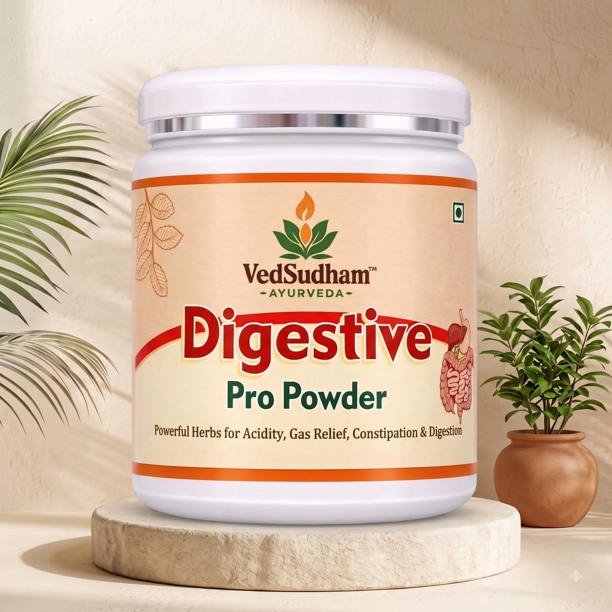 VedSudham Digestive Pro Powder for Gas, Acidity & Constipation - 300g